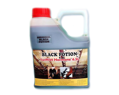 Black Potion